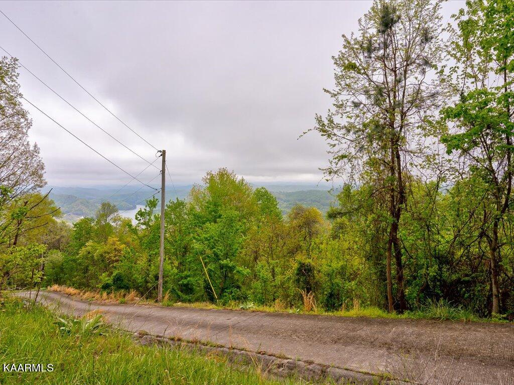 Lot 196 Clinch View Road New Tazewell, TN 37825 - Photo 7 of 28 Lot 196 Clinch Valley Rd - 8