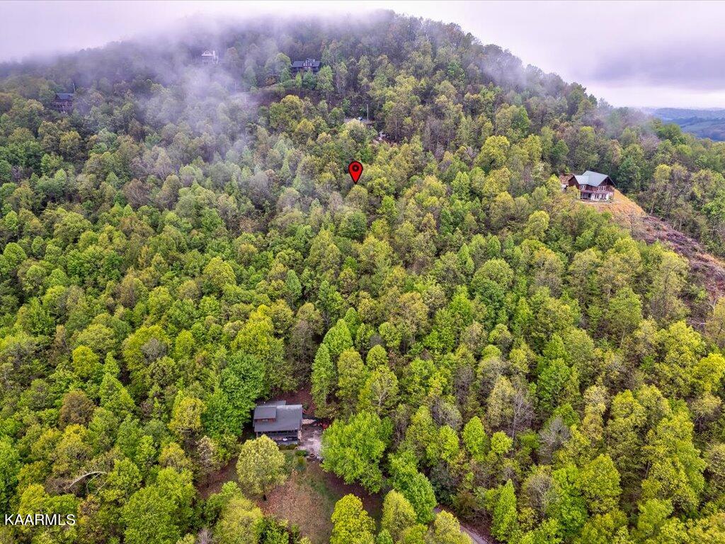 Lot 196 Clinch View Road New Tazewell, TN 37825 - Photo 8 of 28 Lot 196 Clinch Valley Rd - 9