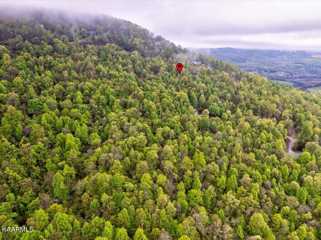 Lot 196 Clinch View Road New Tazewell, TN 37825 - Photo 9 of 28 Lot 196 Clinch Valley Rd - 10
