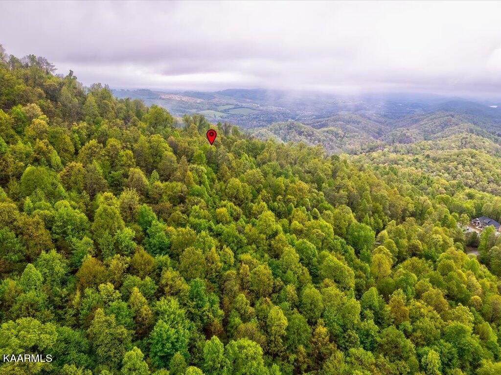 Lot 196 Clinch View Road New Tazewell, TN 37825 - Photo 10 of 28 Lot 196 Clinch Valley Rd - 11