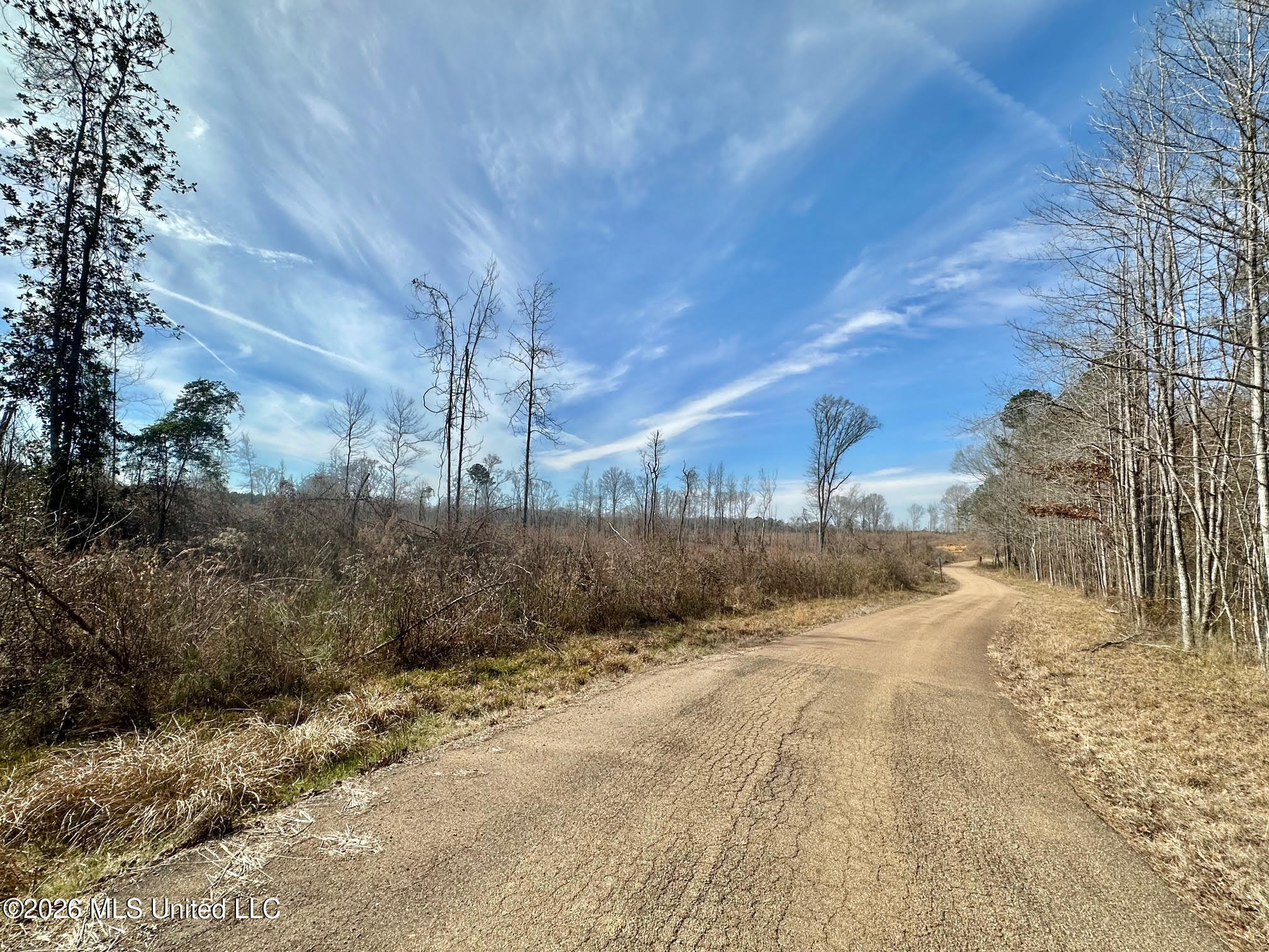 0 Prentiss Crump Road Utica, MS 39175 - Photo 5 of 15 550 - Copy