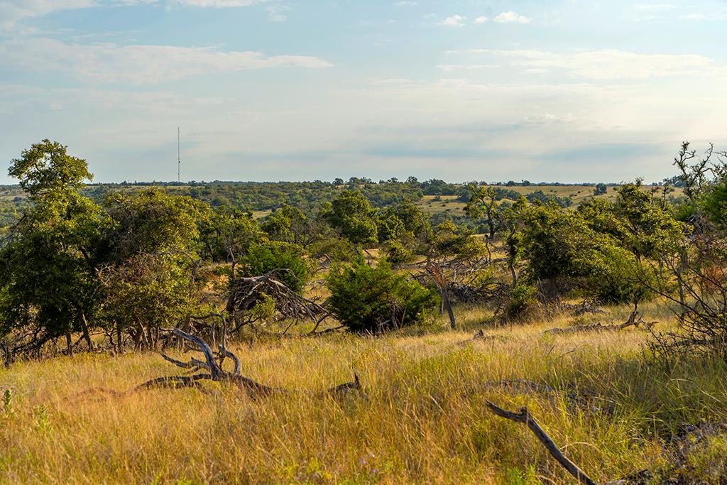 4551 Reeh Road Fredericksburg, TX 78624 - Photo 20 of 69 Gallery Image 20