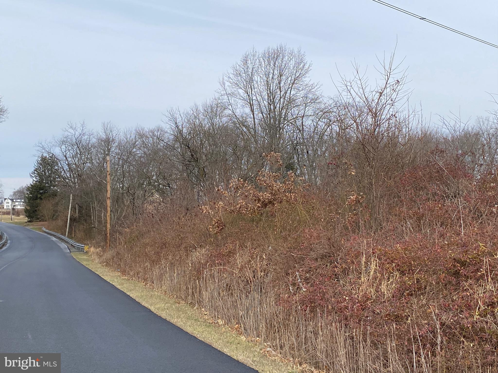 102 Bridgeton Road Elmer, NJ 08318 - Photo 3 of 9 Road Frontage