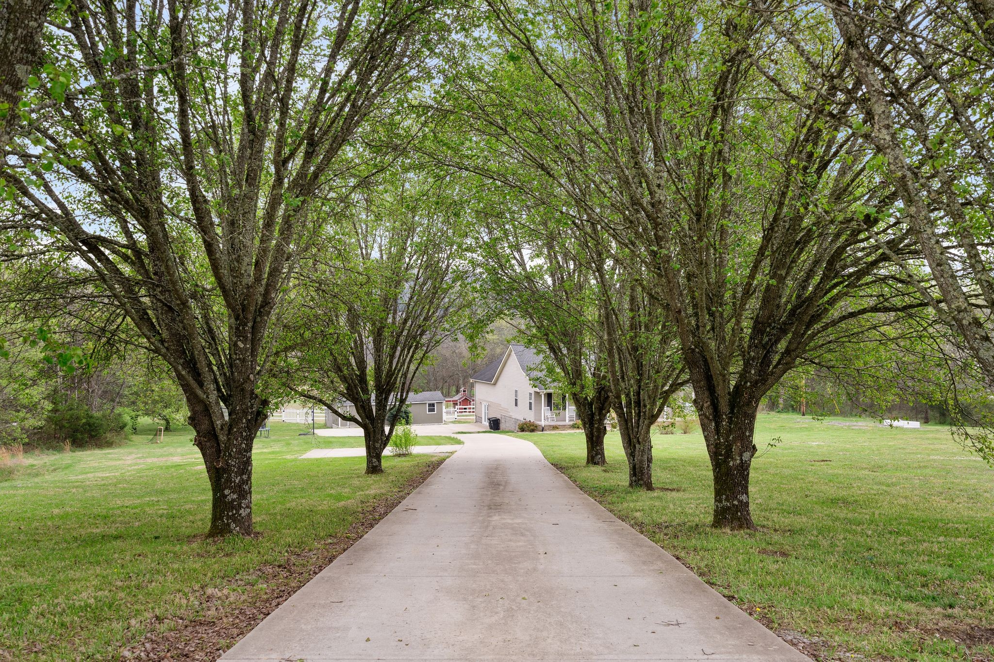 15541 Cainsville Road Milton, TN 37118 - Photo 3 of 57