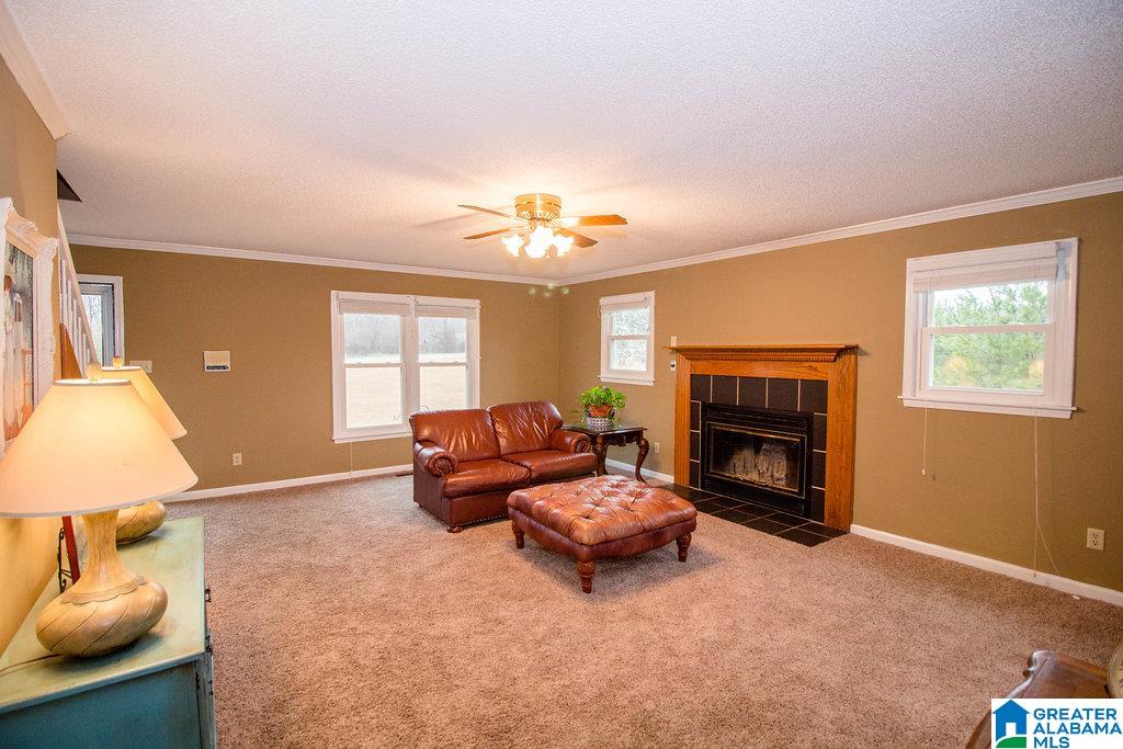 4872 Bob Brill Road Bessemer, AL 35022 - Photo 7 of 28