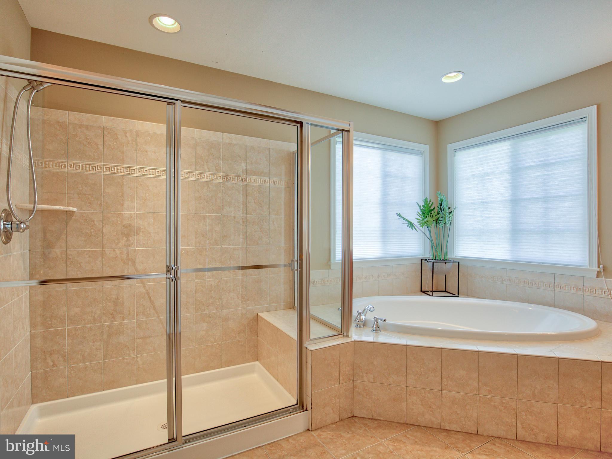 2801 Ridgetop Court Winchester, VA 22601 - Photo 20 of 30 Separate shower and large soaking tub