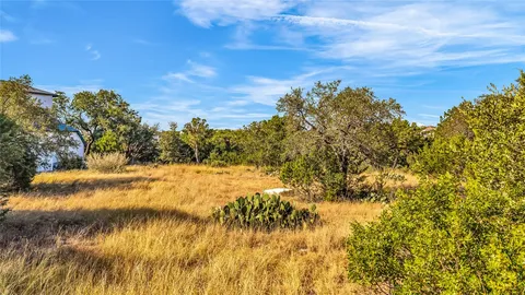 a view of a lake with a tree