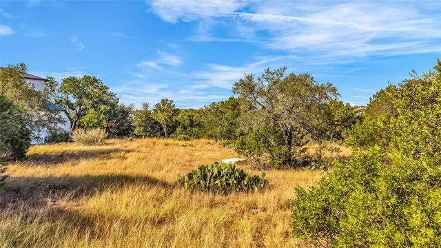 a view of a lake with a tree