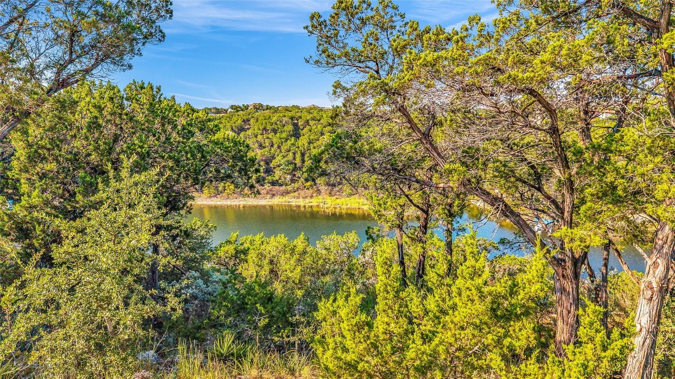 7216 Getaway Drive Jonestown, TX 78645 - Photo 22 of 30 a view of a lake with a tree