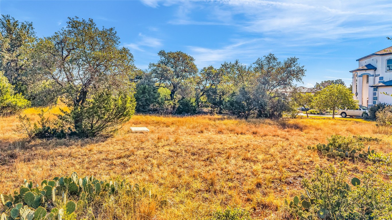 7216 Getaway Drive Jonestown, TX 78645 - Photo 23 of 30 a view of yard covered with snow in front of house