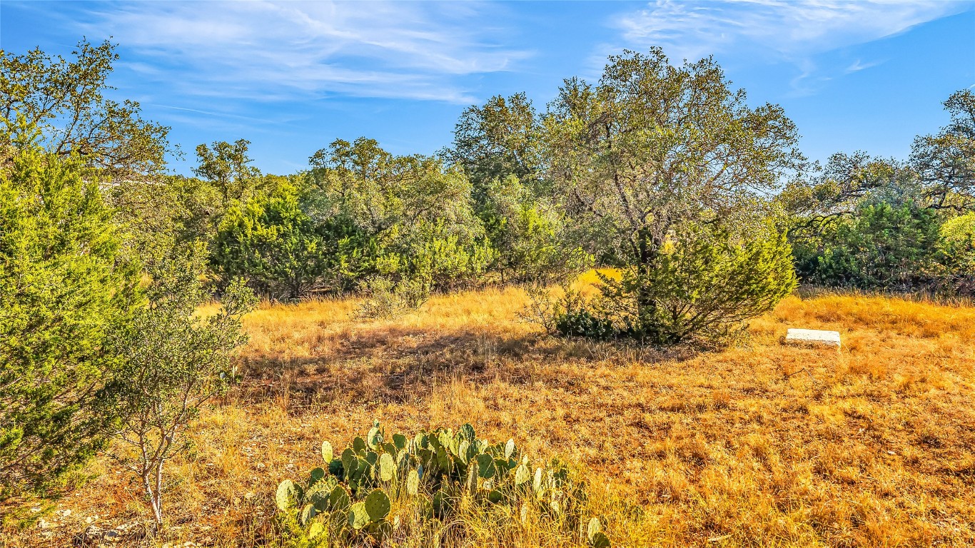 7216 Getaway Drive Jonestown, TX 78645 - Photo 24 of 30 a view of a yard with trees