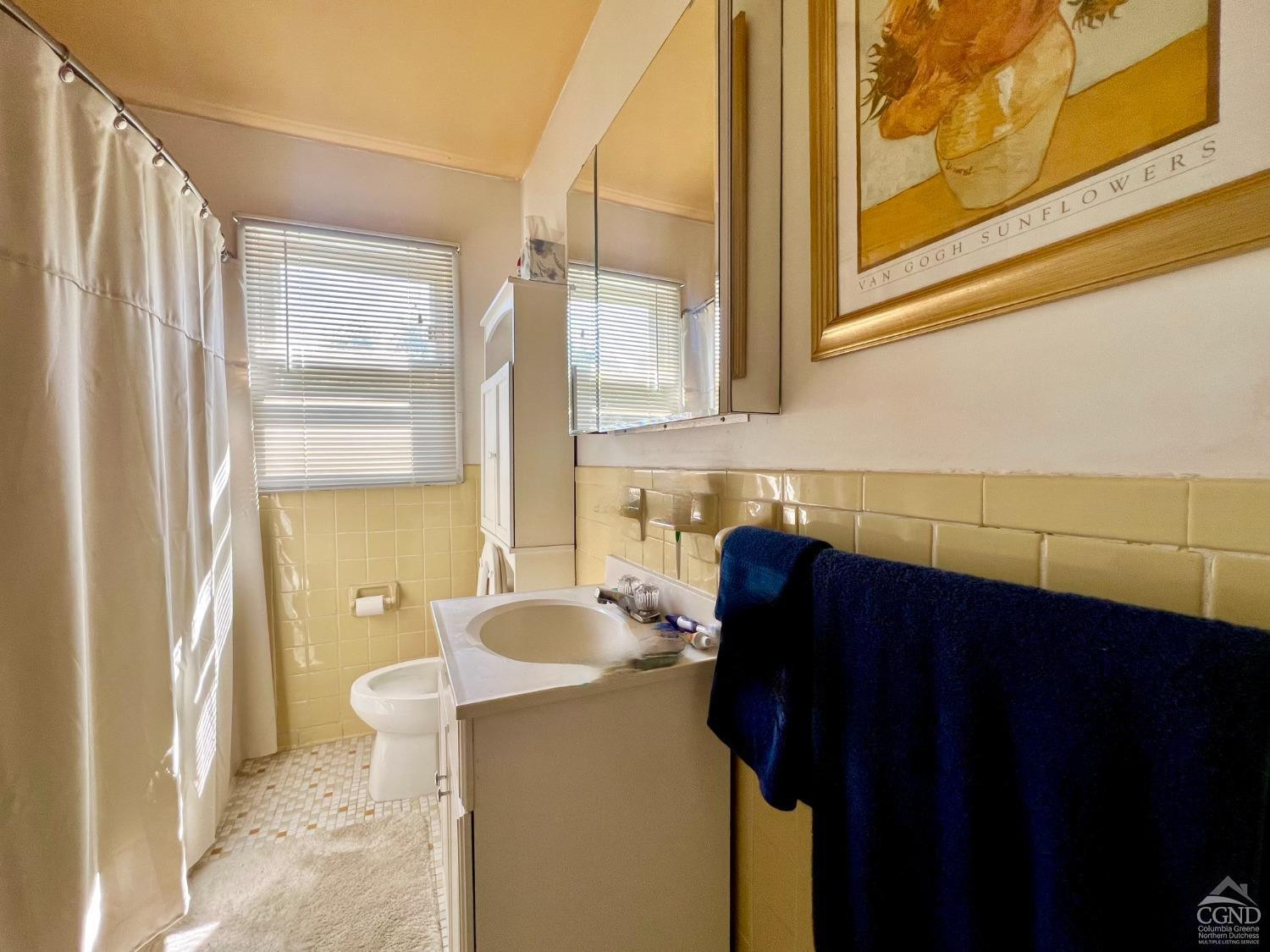 174 Middlefield Road Cairo, NY 12058 - Photo 13 of 22 a bathroom with a sink and a mirror