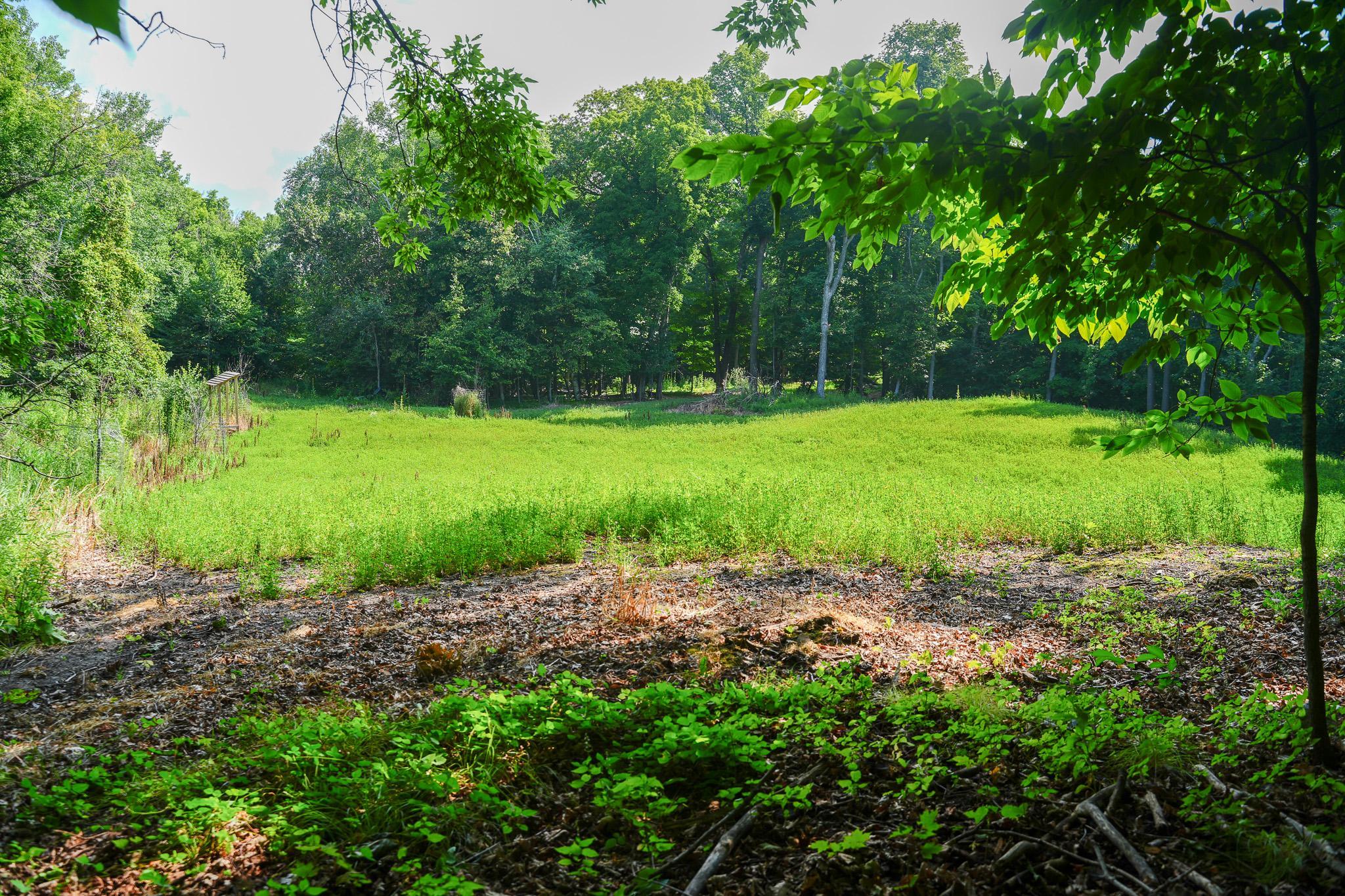 Tbd North Cotton Lake Road Rochert, MN 56578 - Photo 20 of 31 Gallery Image 20
