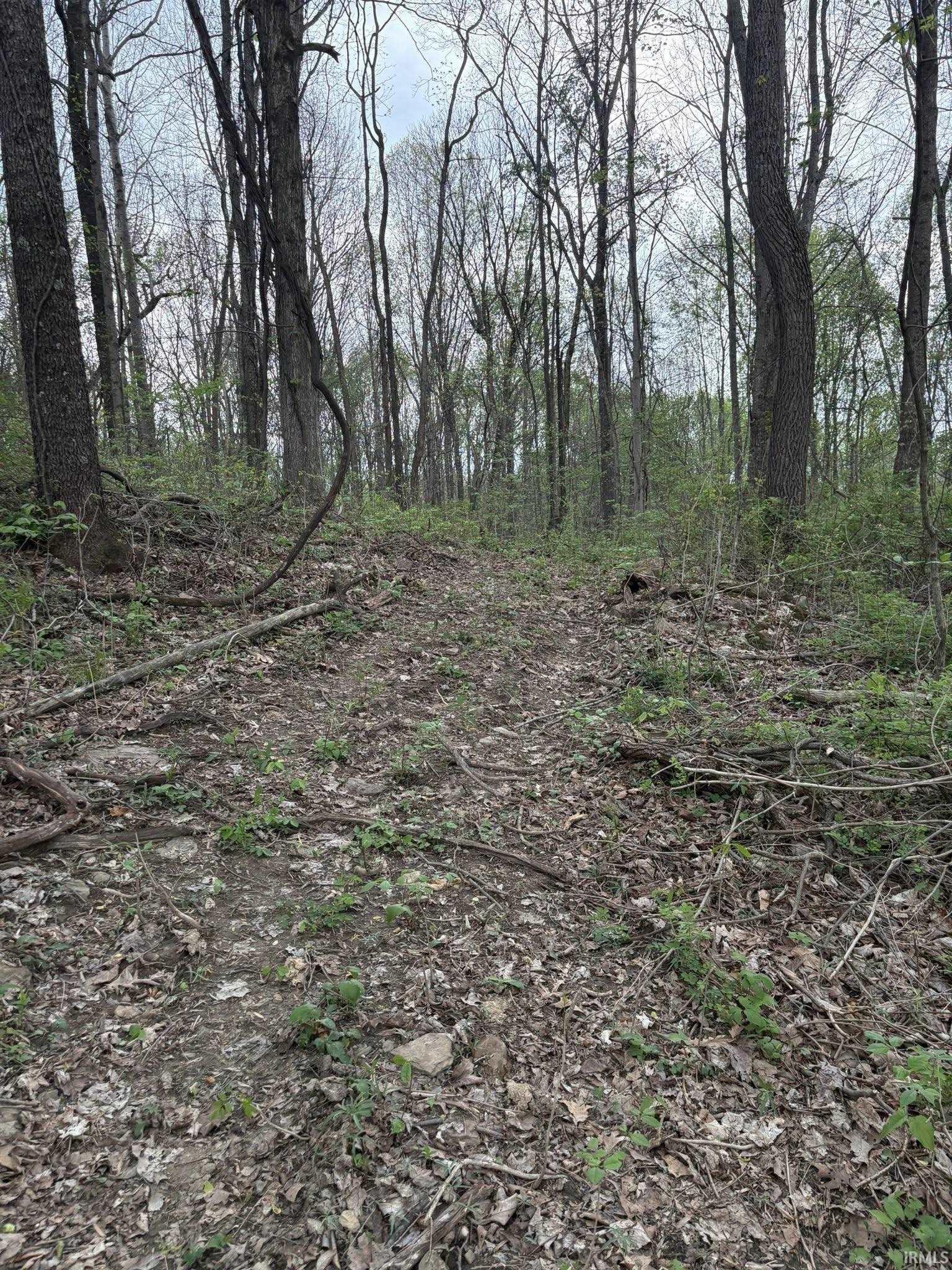 8517 East Sylvania Road Bloomfield, IN 47424 - Photo 11 of 15