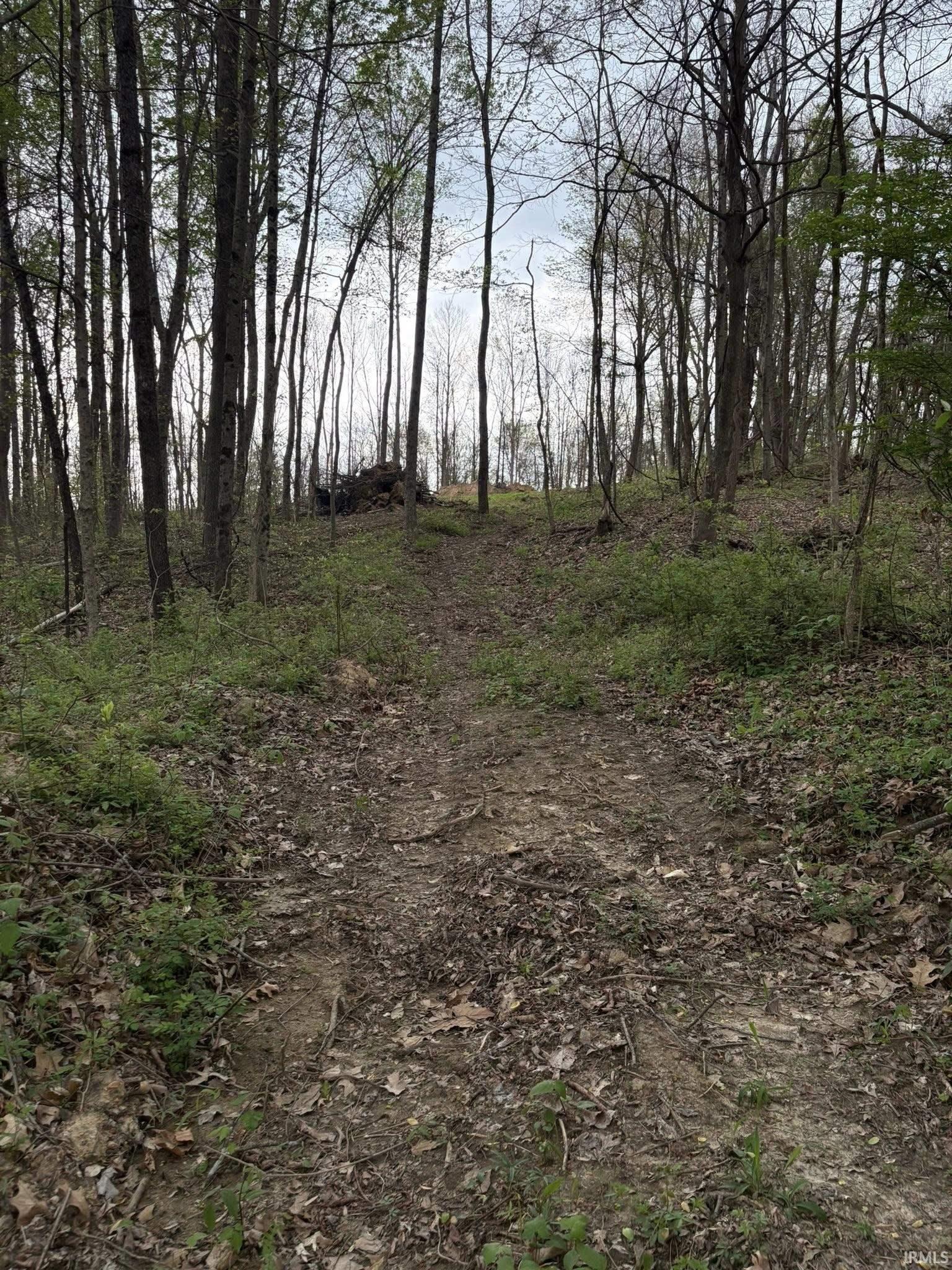 8517 East Sylvania Road Bloomfield, IN 47424 - Photo 12 of 15