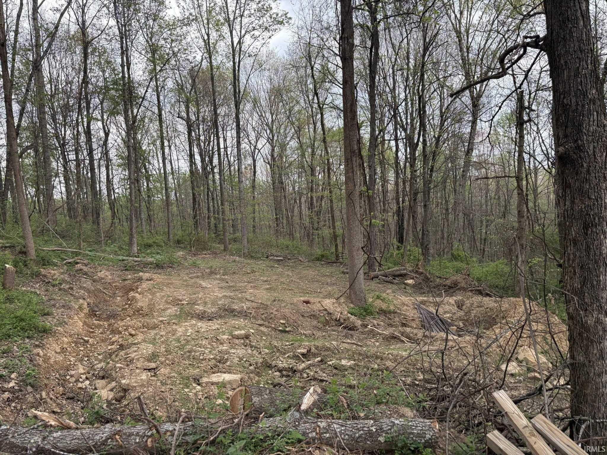 8517 East Sylvania Road Bloomfield, IN 47424 - Photo 13 of 15