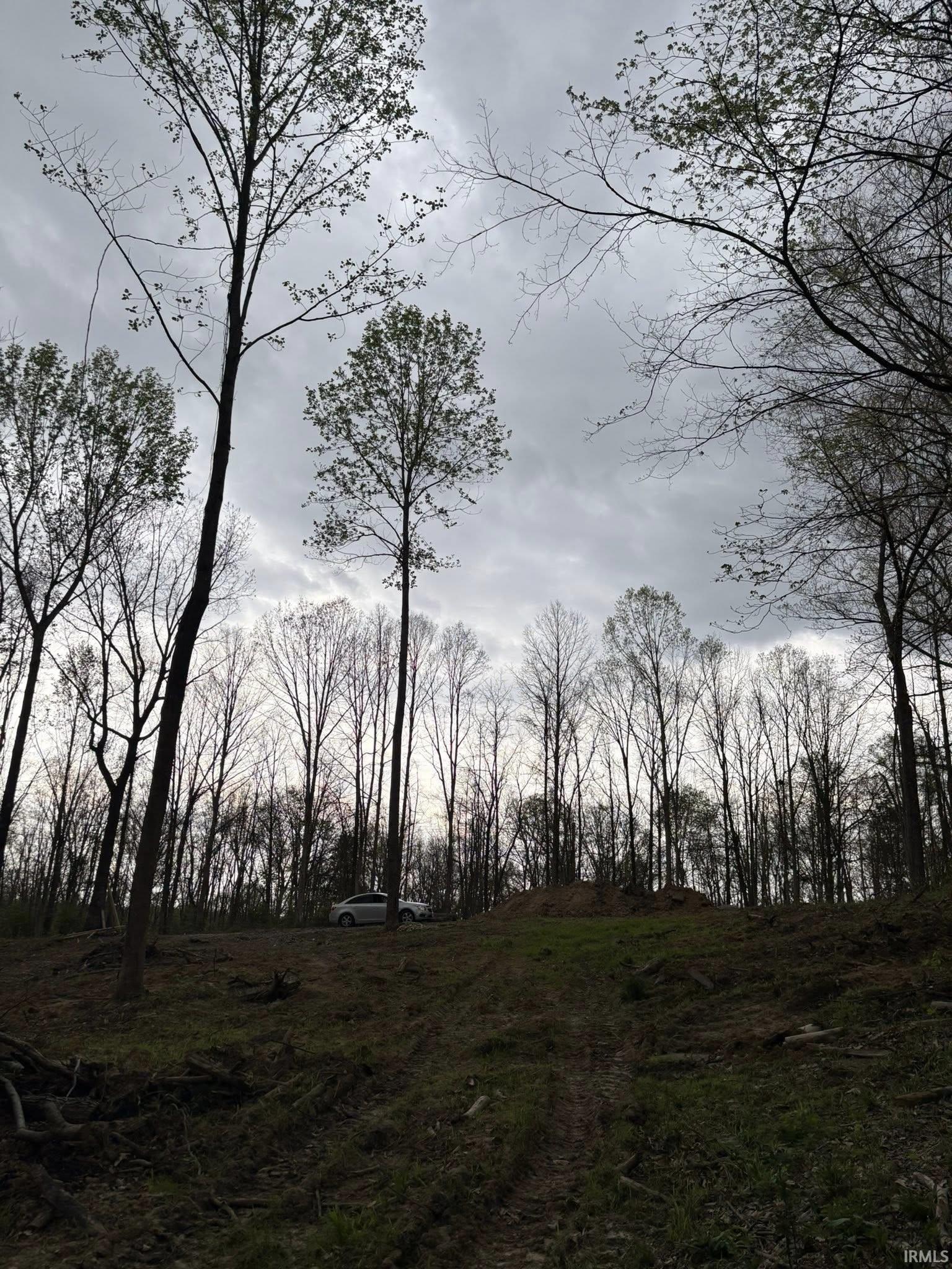 8517 East Sylvania Road Bloomfield, IN 47424 - Photo 14 of 15