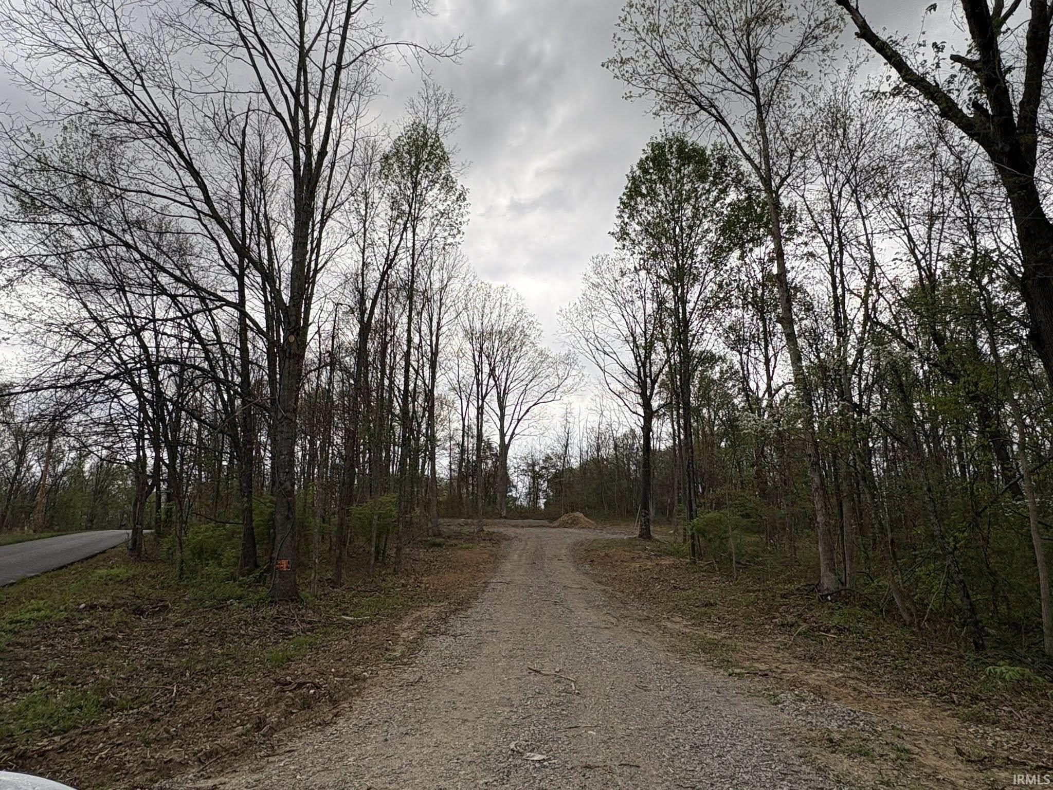 8517 East Sylvania Road Bloomfield, IN 47424 - Photo 3 of 15