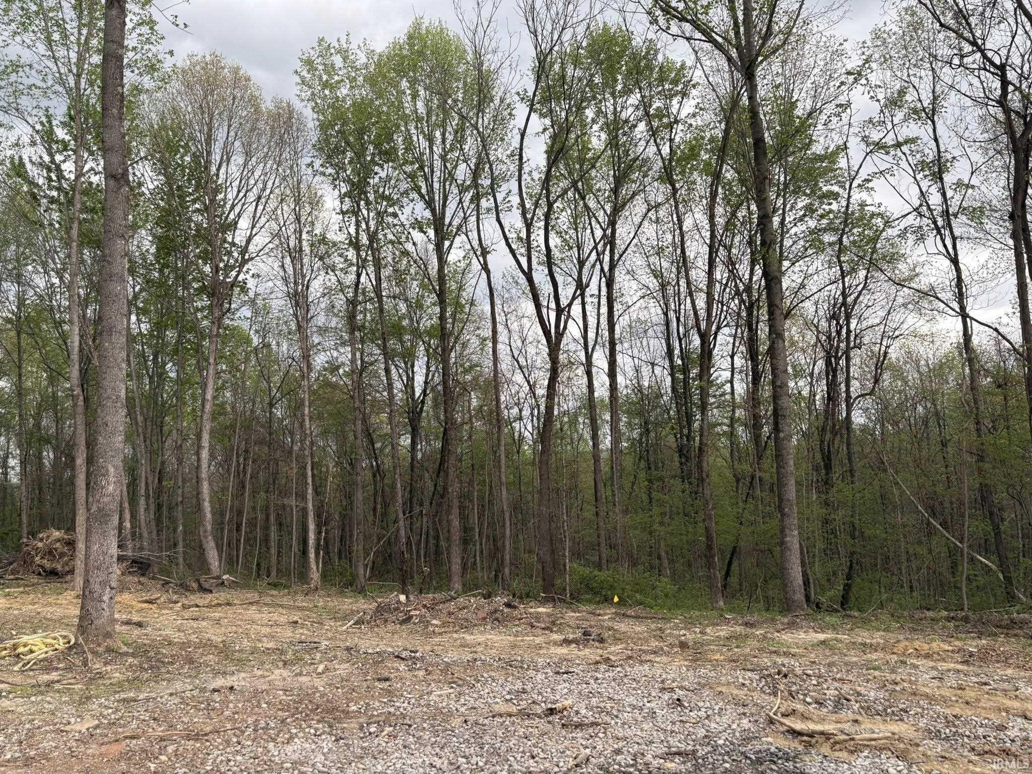 8517 East Sylvania Road Bloomfield, IN 47424 - Photo 6 of 15