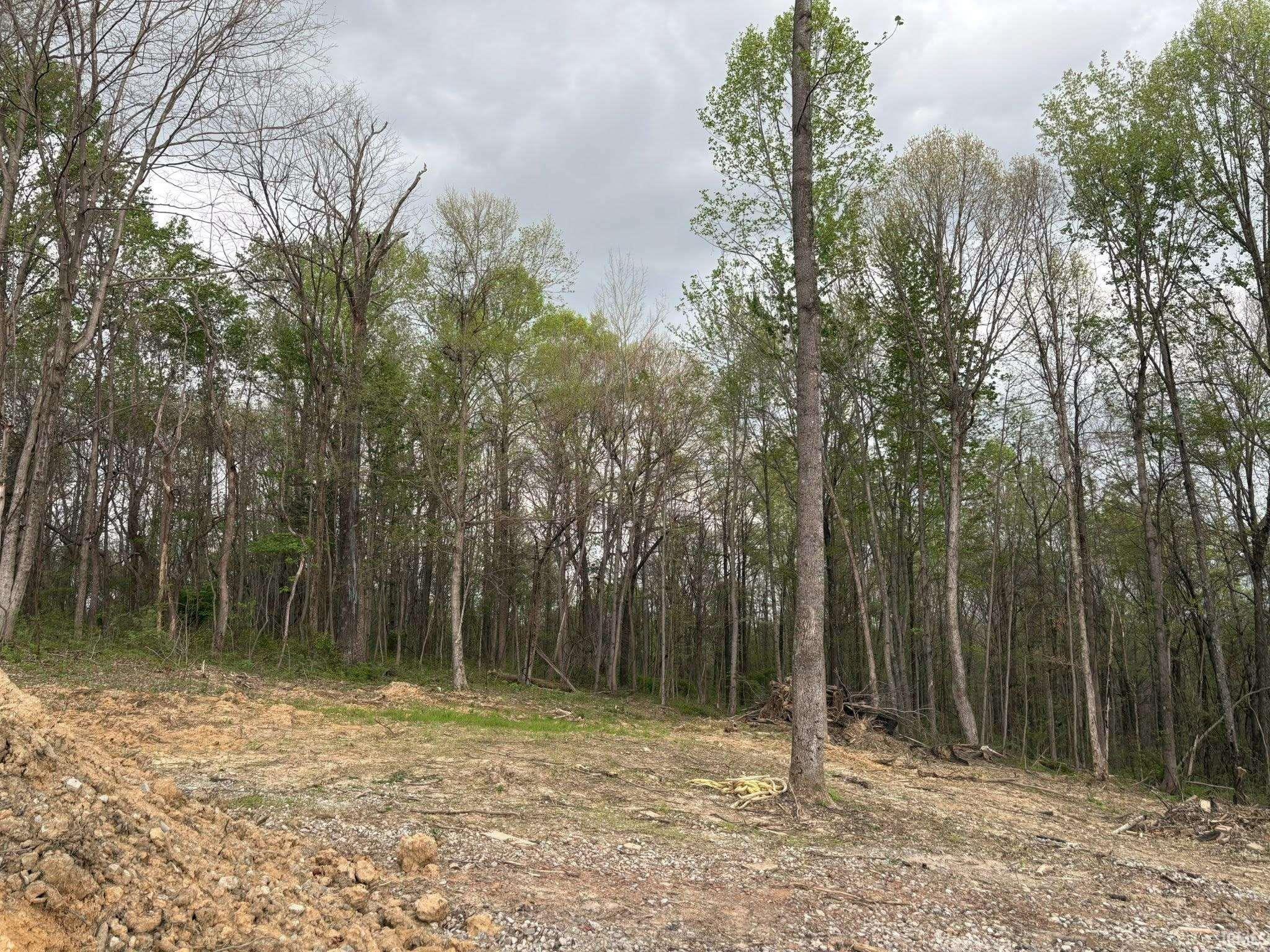 8517 East Sylvania Road Bloomfield, IN 47424 - Photo 7 of 15