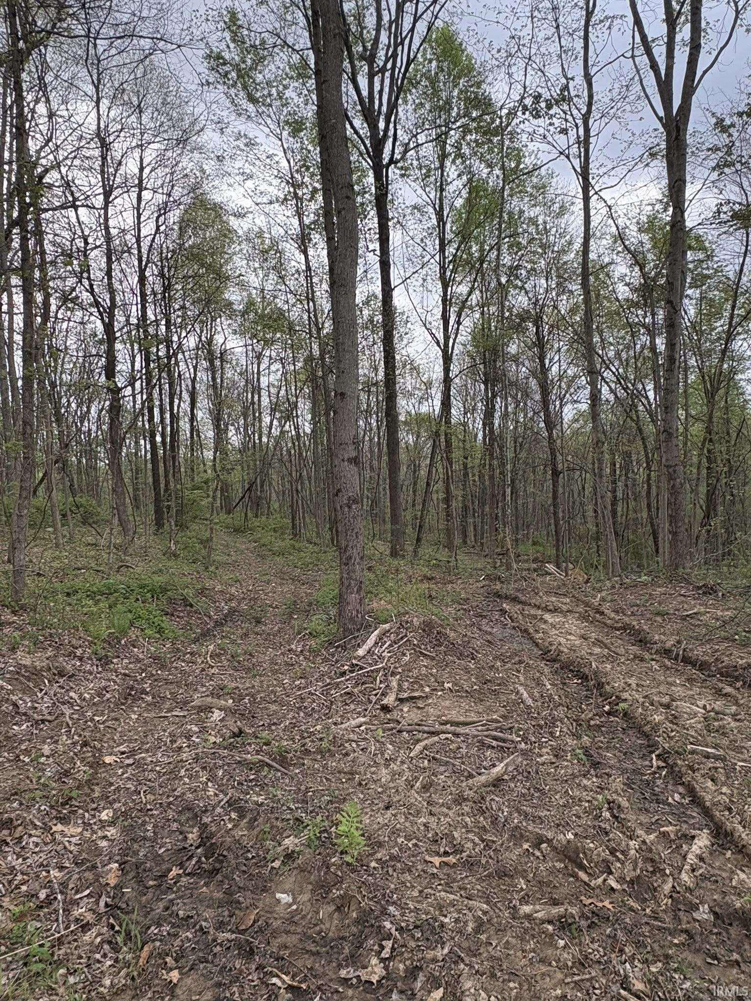 8517 East Sylvania Road Bloomfield, IN 47424 - Photo 8 of 15