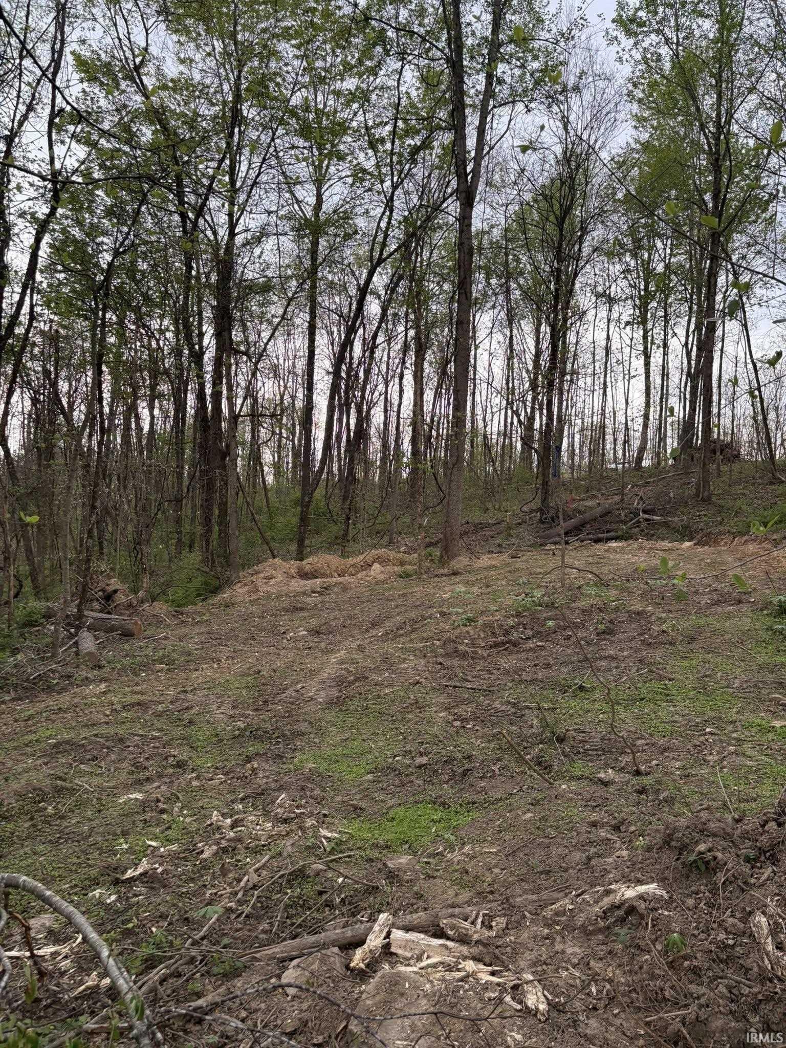 8517 East Sylvania Road Bloomfield, IN 47424 - Photo 10 of 15