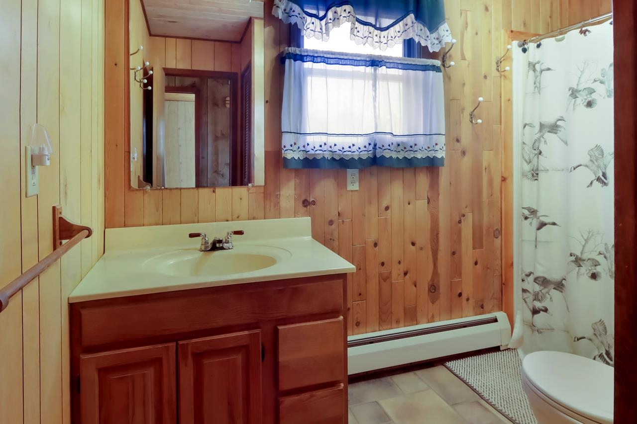 11101 West Fahrney Road Fife Lake, MI 49633 - Photo 21 of 36