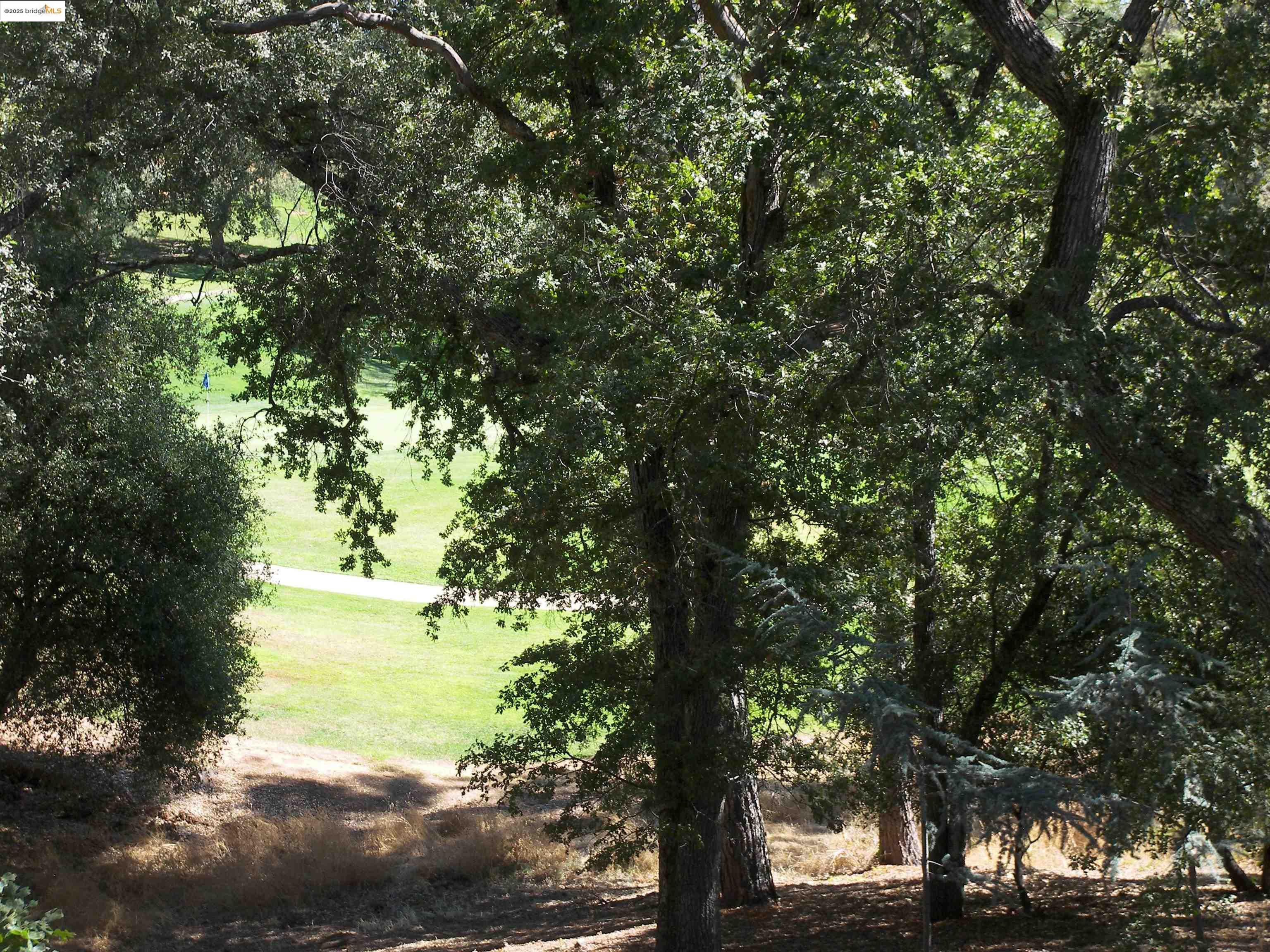 19195 Ferretti Road Groveland, CA 95321 - Photo 36 of 51 View of PML Golf Course