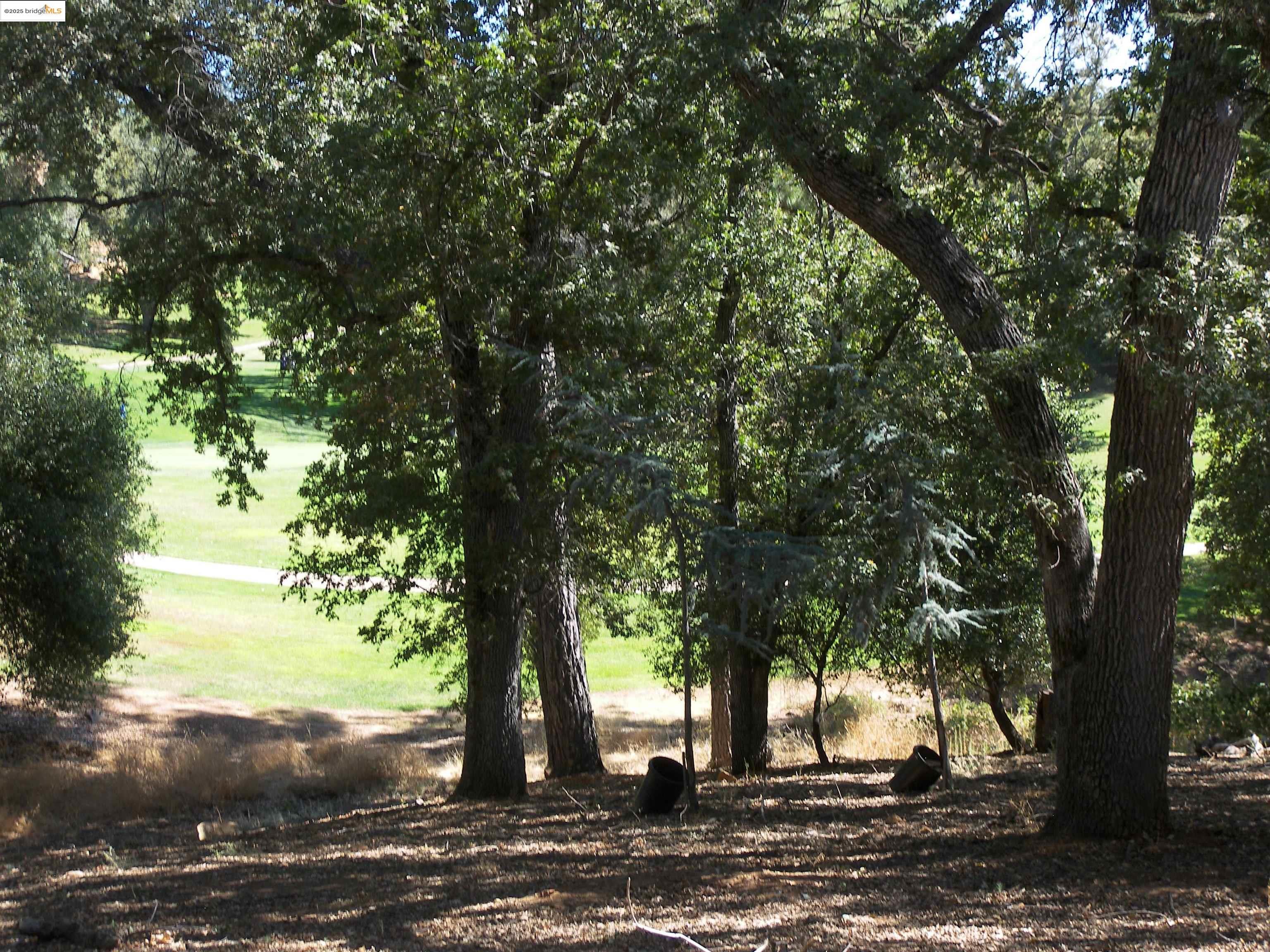 19195 Ferretti Road Groveland, CA 95321 - Photo 37 of 51 View of nature