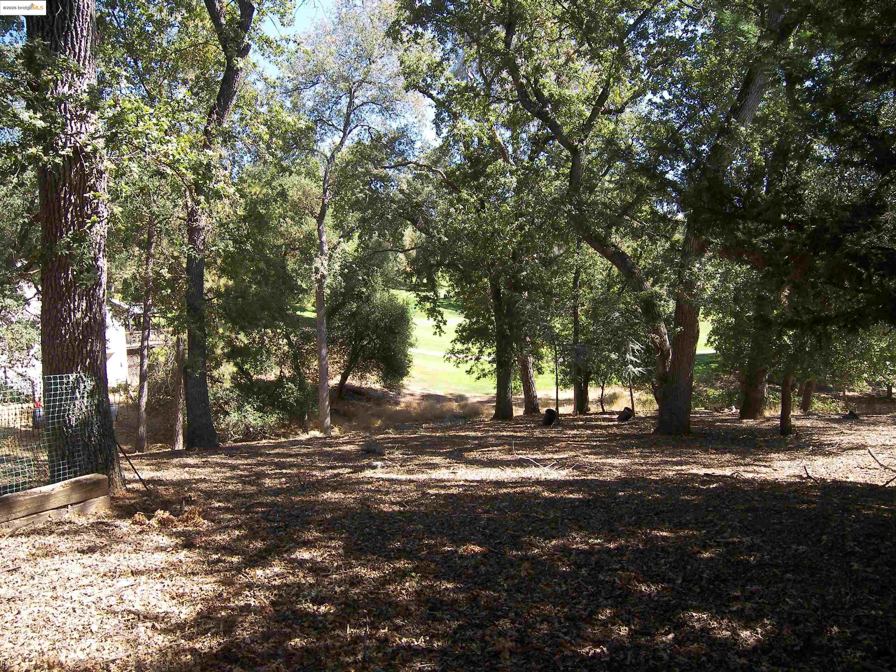 19195 Ferretti Road Groveland, CA 95321 - Photo 38 of 51 View of tree filled area