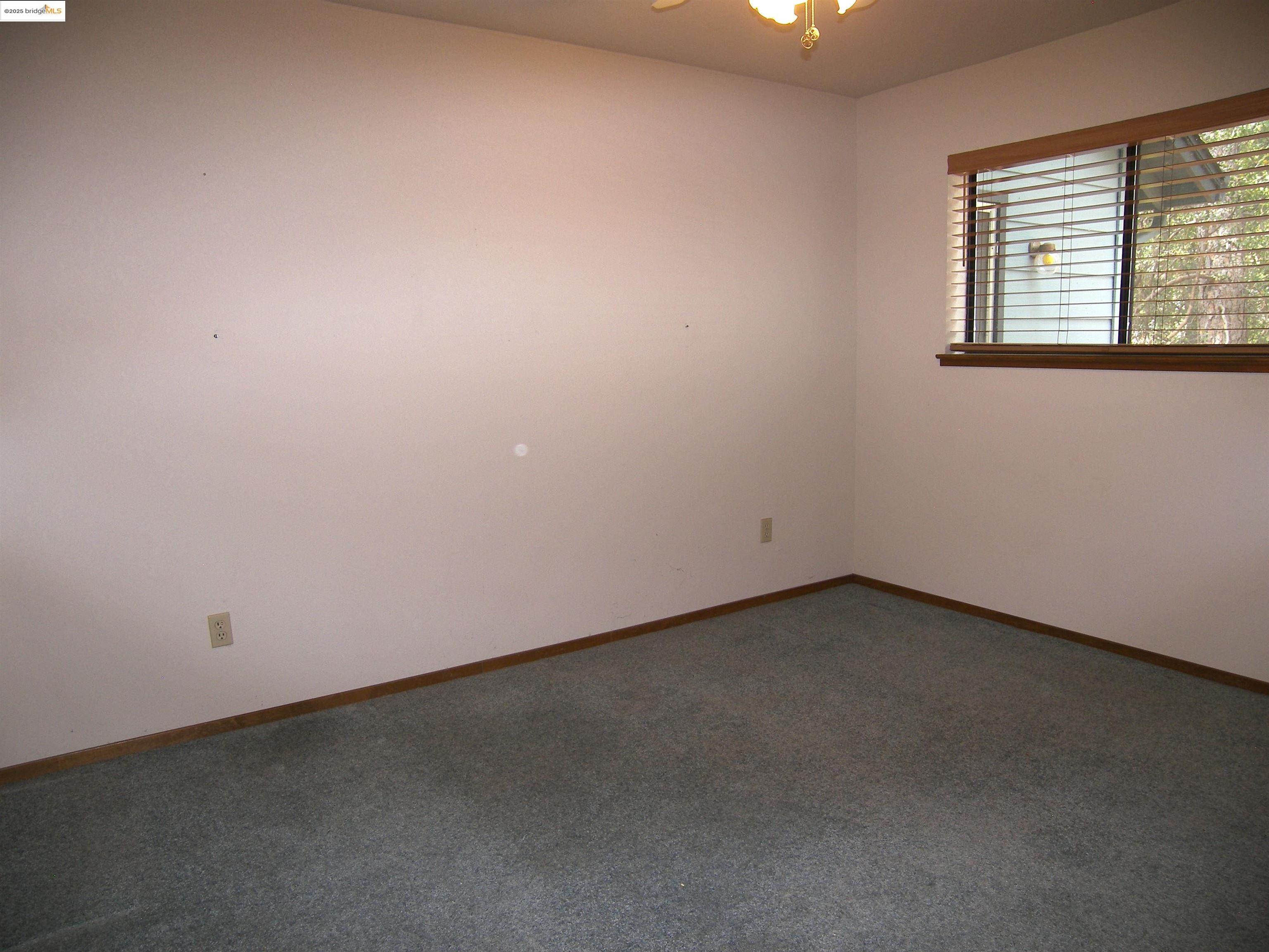 19195 Ferretti Road Groveland, CA 95321 - Photo 42 of 51 Empty room with carpet and ceiling fan