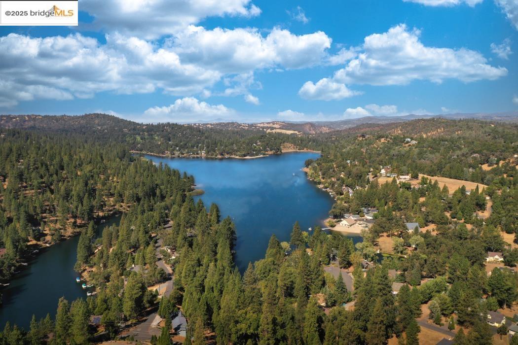 19195 Ferretti Road Groveland, CA 95321 - Photo 51 of 51 Aerial view of a heavily wooded area and a large body of water
