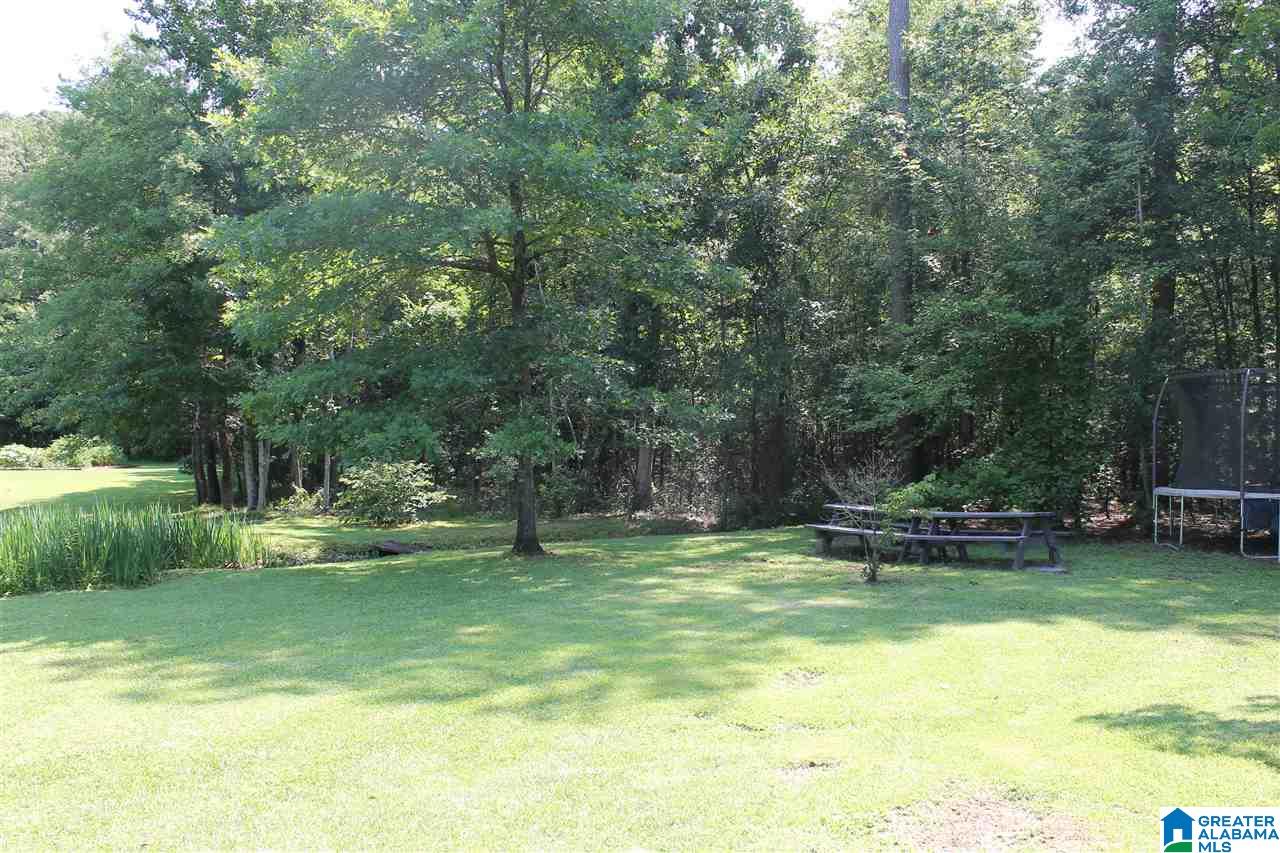 545 Lovejoy Road Ashville, AL 35953 - Photo 39 of 44