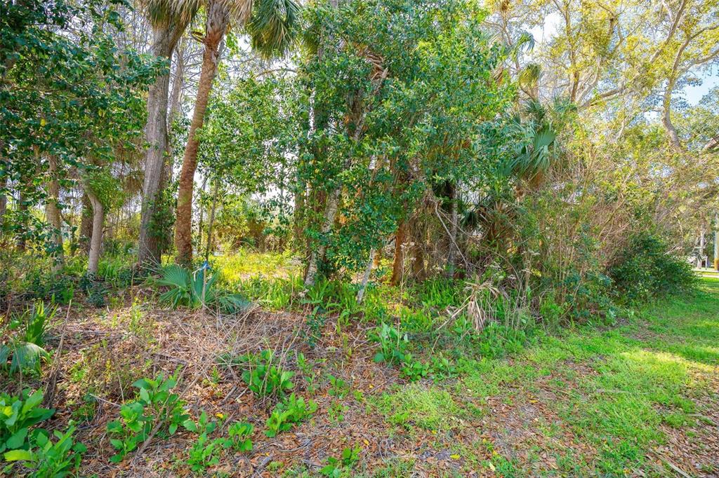 118 Azalea Road Edgewater, FL 32141 - Photo 20 of 23