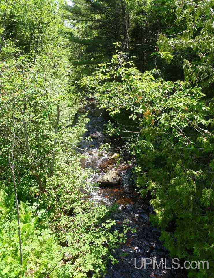 Tbd Gratiot River Road Iron Mountain, MI 49801 - Photo 8 of 11