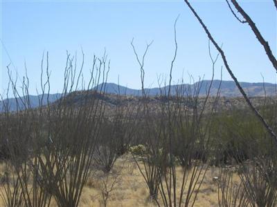 0 West Pima Mine Road West Sahuarita, AZ 85629 - Photo 2 of 5