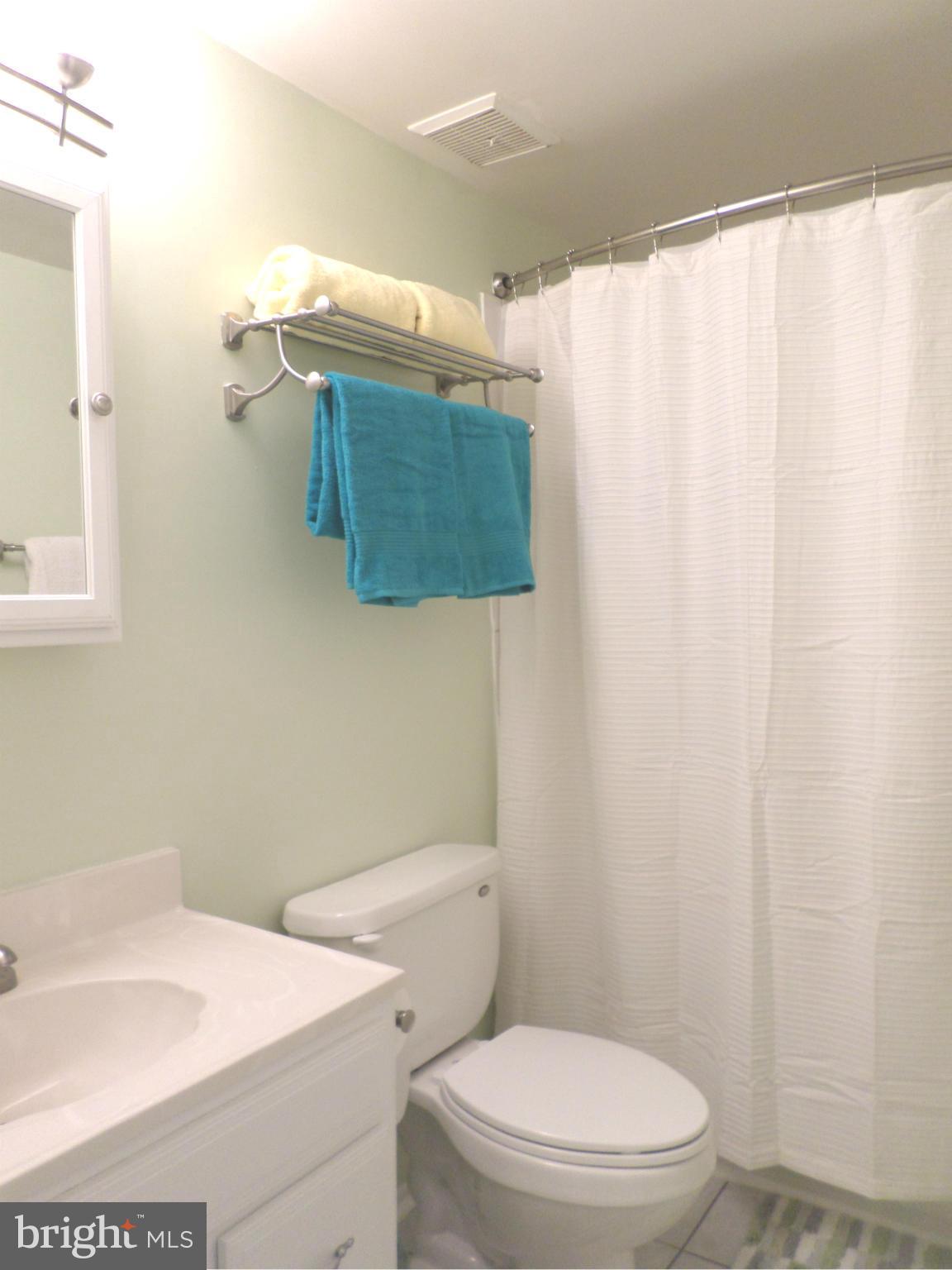10719 Lester Street Silver Spring, MD 20902 - Photo 15 of 27 Upper Level Full Bath