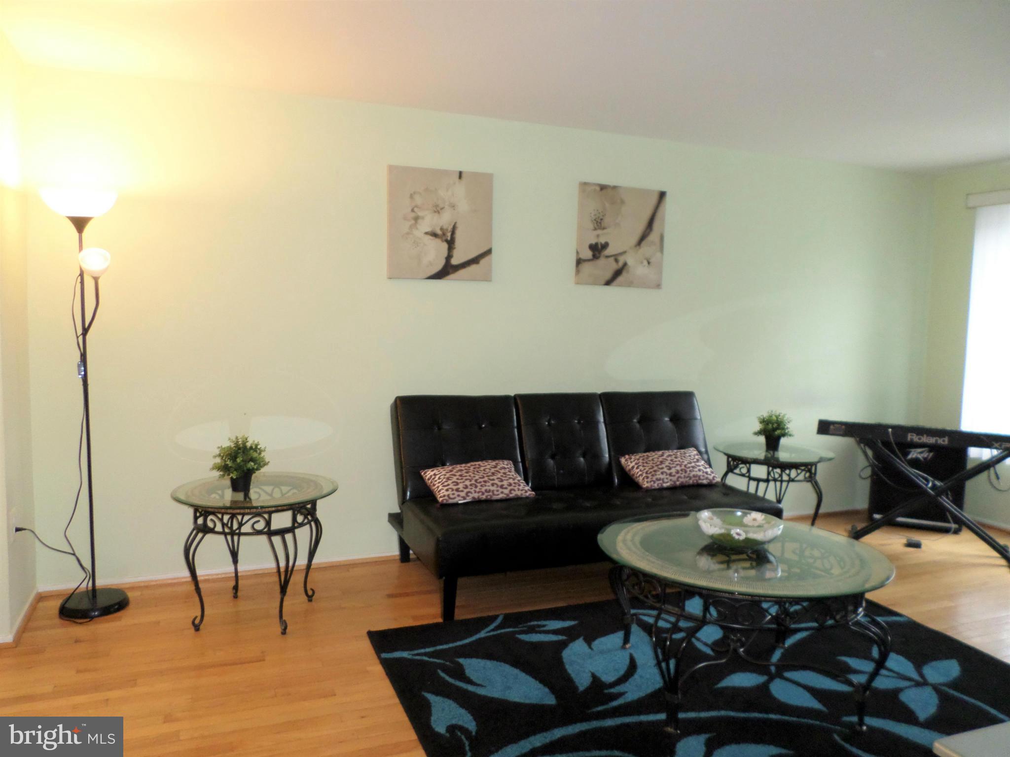 10719 Lester Street Silver Spring, MD 20902 - Photo 7 of 27 Living Room