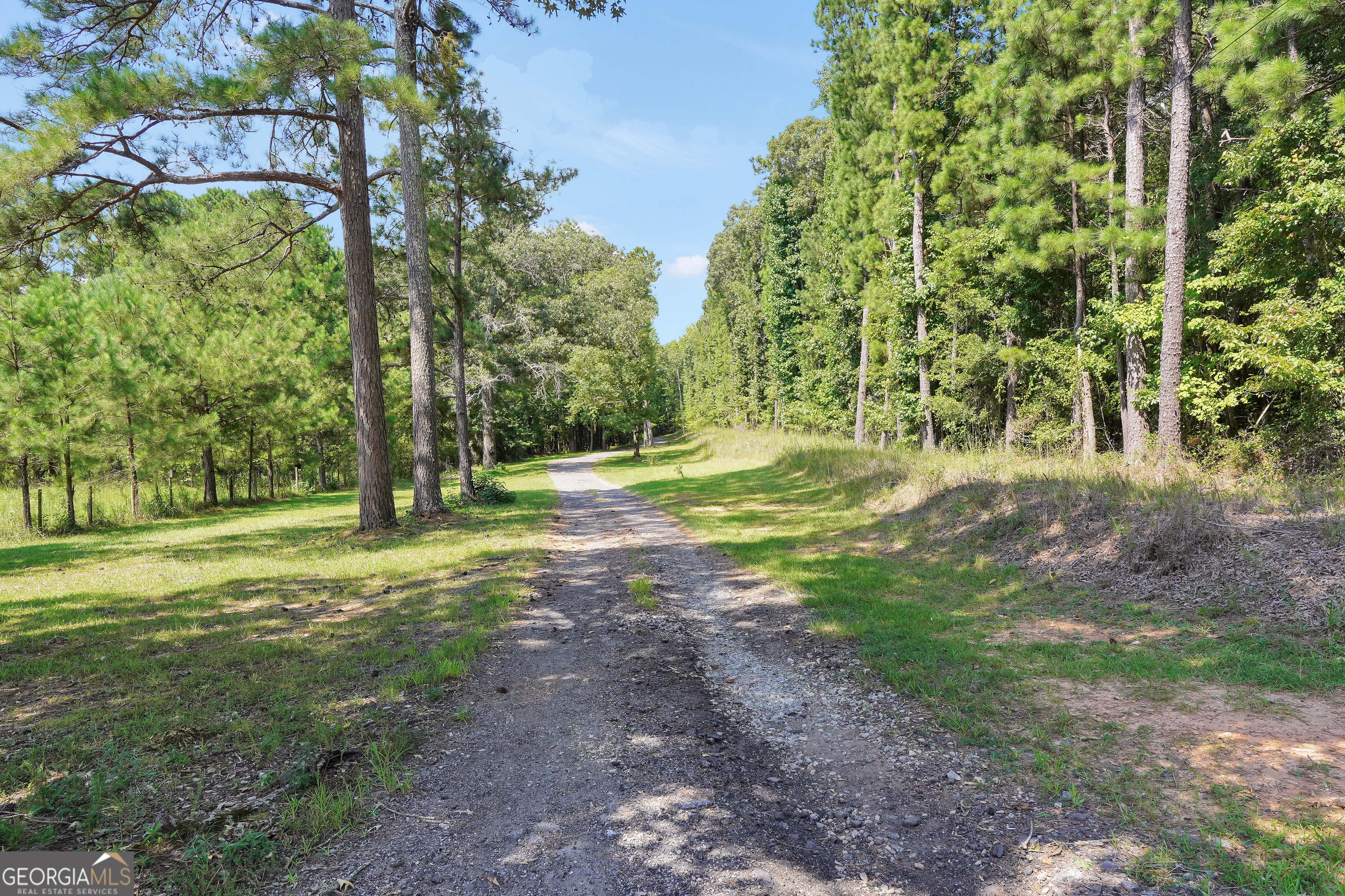 584 Moccasin Gap Road Jackson, GA 30233 - Photo 2 of 10 a view of a trees with a yard