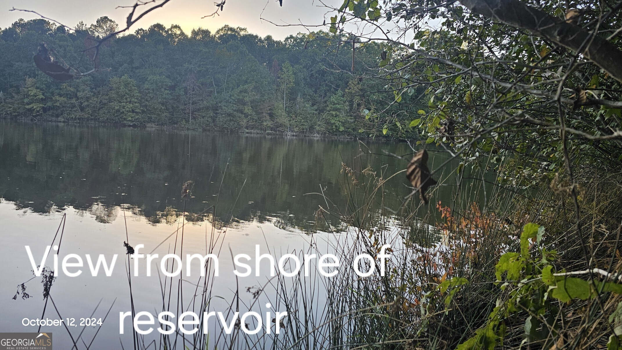584 Moccasin Gap Road Jackson, GA 30233 - Photo 10 of 10 a view of a lake with a tree in the background
