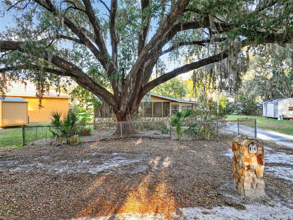 614 Spruce Street Plant City, FL 33563 - Photo 50 of 68