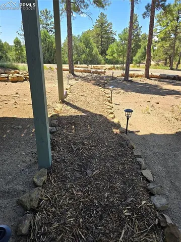 an empty room with windows fireplace and bathroom