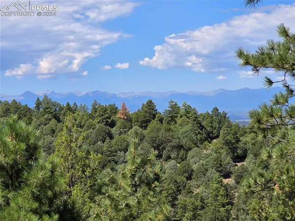 a view of a bunch of trees