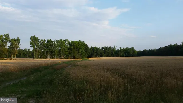 a view of lake and mountain view