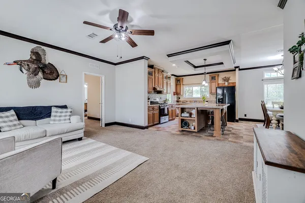 $217,500 | 1459 Emmanuel Barrow Road, Claxton, GA 30417