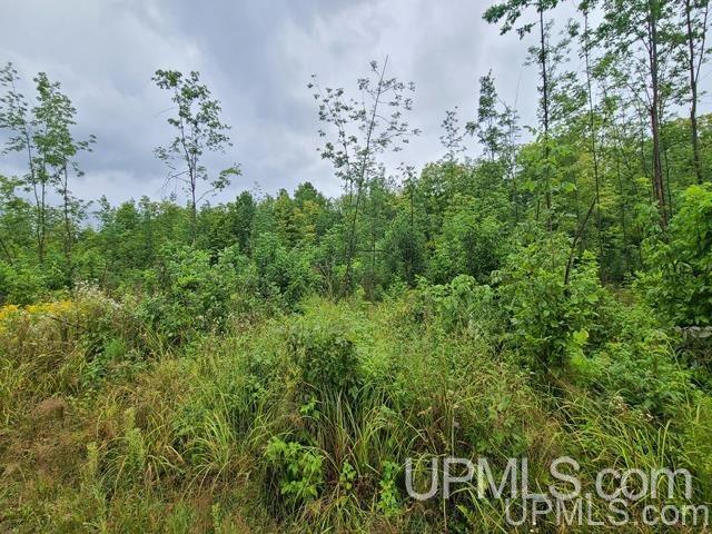 Tbd Bates-Amasa Road Iron River, MI 49935 - Photo 9 of 12