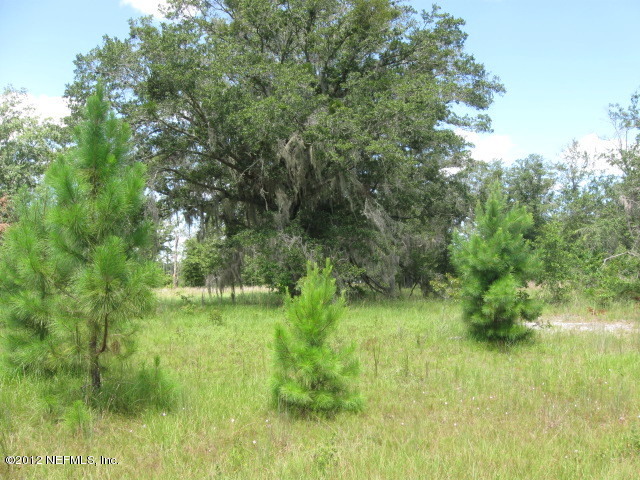 0 Southwest 18th Road, Unit COUNTY Hampton, FL 32044 - Photo 3 of 5 Land