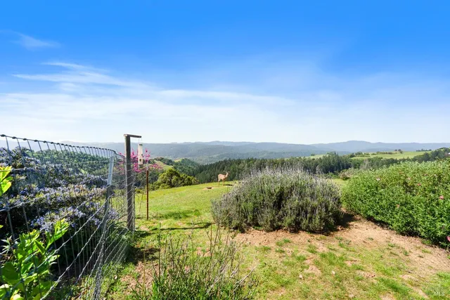 $1,697,500 | 9655 Peachland Road, Boonville, CA 95415