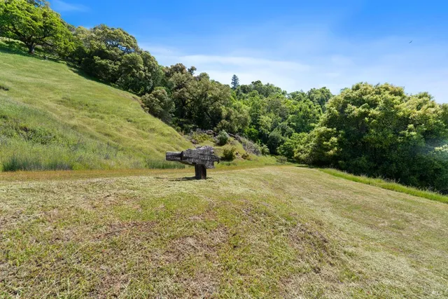 a view of outdoor space and yard