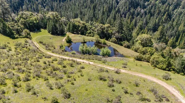 a view of a small pond with lots of green space